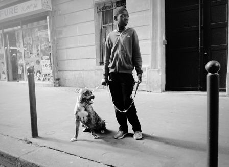 suez-Panama, dog, photo alexandre coursier