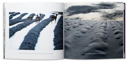 Duos du Ventoux