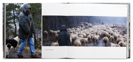 Berger, des lavandes aux glaciers - Une transhumance Drôme Savoie