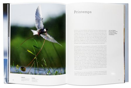 Brenne - Nouveaux carnets de photographes naturalistes, intérieur