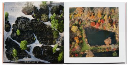 10 regards photographiques sur la forêt de Fontainebleau - Carre de forêt