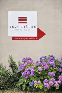 Escourbiac, Graulhet, hortensias