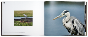 Beau livre, photographie, photographie nature & animalière, autoédition