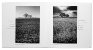 Anticliché, livre photo de Jean-Marc Cédile et François Goalec, intérieur