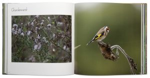 Ile-de-France, sud sauvage - Beau livre photo nature & animalière de Frédéric Rebeyrolles