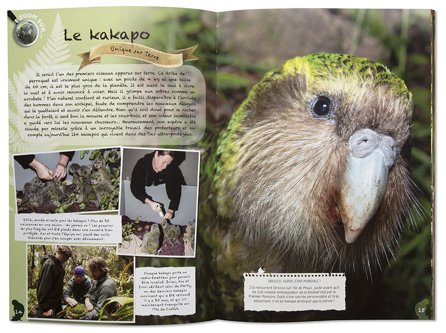 Géniale nature, Nouvelle-Zélande, Sabine Bernert, intérieur