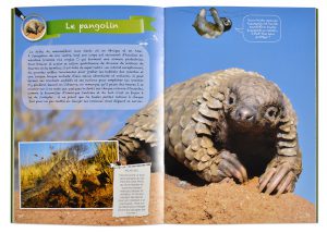 Comme dans la nature, Sabine Bernert & Christine Denis-Huot, Collection jeunesse Géniale Nature, intérieur