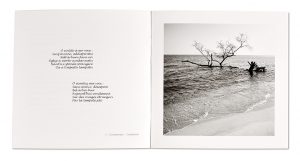 Il Cantu di l'Arburu (le Chant de l'Arbre), Maria-Ghjiuseppa Amadei-Rossi & Philippe Hasse-Valenti, intérieur livre ouvert