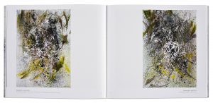 Minois, l'arbre qui cache la forêt, oeuvres peintres de 2008 à 2017, intérieur