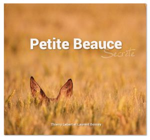 Petite Beauce secrète, Thierry Lebert et Laurent Bossay, couverture