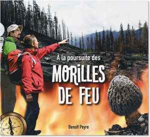 A la poursuite des morilles de feu, Benoit Peyre, couverture