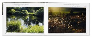 Les 3 rivières du Gâtinais aux 4 saisons, Marie-Lys Hagenmüller, Aurélien Petit, Quentin Kheyap, intérieur