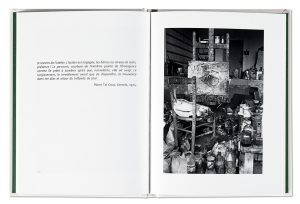 Pierre Tal Coat, L'atelier ouvert, Michel Dieuzaide, livre / film, intérieur