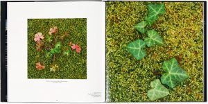 La Sainte-Baume II, Une nature d'émotions, Denis Caviglia, intérieurLa Sainte-Baume II, Une nature d'émotions, Denis Caviglia, intérieur