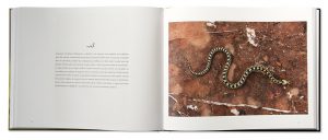 Mordus de serpents, Xavier Bonnet & Maxime Briola, Regards du Vivant, intérieur