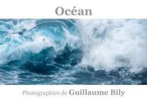 Océan, Guillaume Bily, exposition Galerie Bllin + Blin