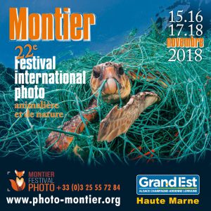 Montier Festival Photo 218