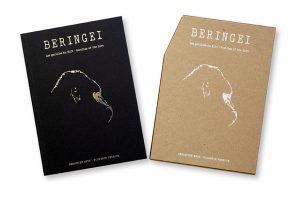 Beringei, les gorilles du Rift, Sébastien Meys, Florence Perroux, Livre + Coffret