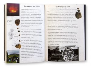 Beringei, les gorilles du Rift, Sébastien Meys, Florence Perroux, Couverture