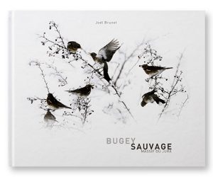 Bugey sauvage, Massif du Jura, Joël Brunet, couverture