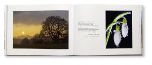 Forêts et paysages d'Ardennes, Thierry Michel, intérieur
