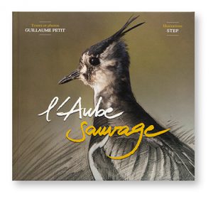 L'Aube Sauvage, Guillaume Petit, Excom', couverture