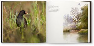 L'Aube Sauvage, Guillaume Petit, Excom', intérieur