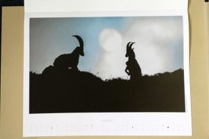 Graphiline - A la recherche de l'effet waouh dans le calendrier de l'imprimerie Escourbiac (81)