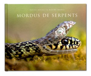 Coffret Mordus de serpent, Xavier Bonnet & Maxime Briola, Regard du Vivant