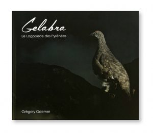 Gelabra, le lagopède des Pyrénées, Grégory Odemer, couverture