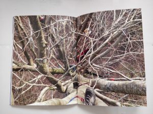 Périple Arboricole, Trois jours perchés dans un arbre sans toucher Terre, Cécile Lamy, Intérieur