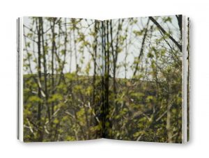 Périple Arboricole, Trois jours perchés dans un arbre sans toucher Terre, Cécile Lamy, Intérieur