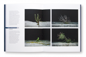 Circulation(s) 2019, festival de la jeunesse photographique européenne, édition le bec en l'air, intérieur