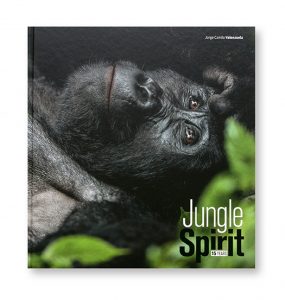 Jungle Spirit 15 Years, Jorge Camilo Valenzuela, couverture