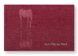 Aux Fils du Vent, Karene du Vivier, couverture