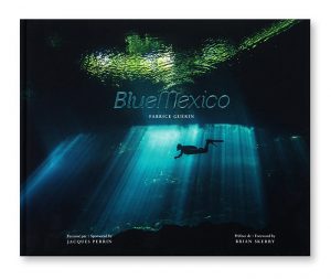 Blue Mexico, Fabrice Guérin, couverture