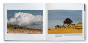 Les 7 Merveilles de Lozère : 1 - Les terres de l'Aubrac, Benoit Colomb, Lozère Sauvage, intérieur