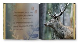 Les Animaux des bois d'à côté de chez moi, Pauline Métais, Aurélien Petit, Shana Photo Edition, intérieur