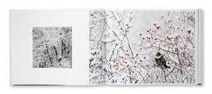 Neige, Touches de vie à travers l'hiver, Guillaume Collombet, intérieur