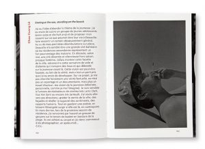 Planche(s) Contact, Festival de résidences photographiques de Deauville, #10 édition 2019, Filigranes Éditions, intrérieur