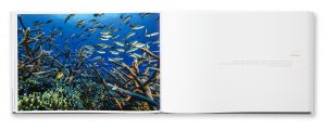 Récifs coralliens, coeur de l'océan, Lambert Wilson & Serge Planes, photos Alexis Rosenfeld, intérieur