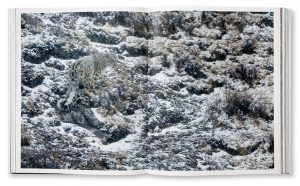 Tibet, en harmonie avec la Panthère des neiges, Frédéric Larrey, intérieur