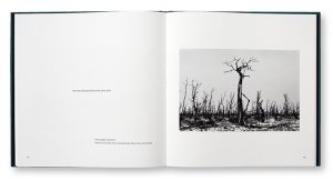 Paysages & Transfiguration, Philippe Ciaparra, k édition, intérieur