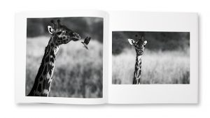 Rencontres en terre africaine, Tome 1, Annabelle Art Gallery, intérieur