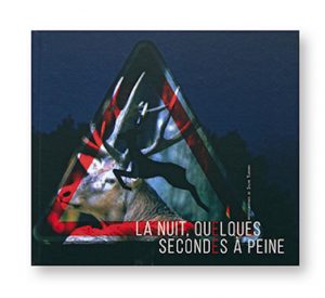 La nuit, quelques secondes à peine, Sylvie Tubiana, couuverture