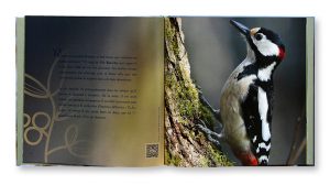 Les Oiseaux d'à côté de chez moi, Pauline Métais, Aurélien Petit, Shana Photo Édition, intérieur