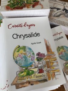 Carnets d'agnès - Chrysalide - Agnès Goyet