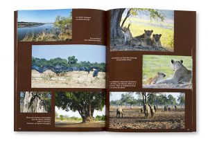 Immersion dans les réserves africaines, du Cap de la Bonne Espérance à la Vallée du Rift, Laurent But, intérieur