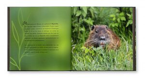 Les animaux du bord de l'eau, Pauline Métais, Aurélien Petit, Shana Photo Édition, intérieur