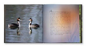 Les animaux du bord de l'eau, Pauline Métais, Aurélien Petit, Shana Photo Édition, intérieur